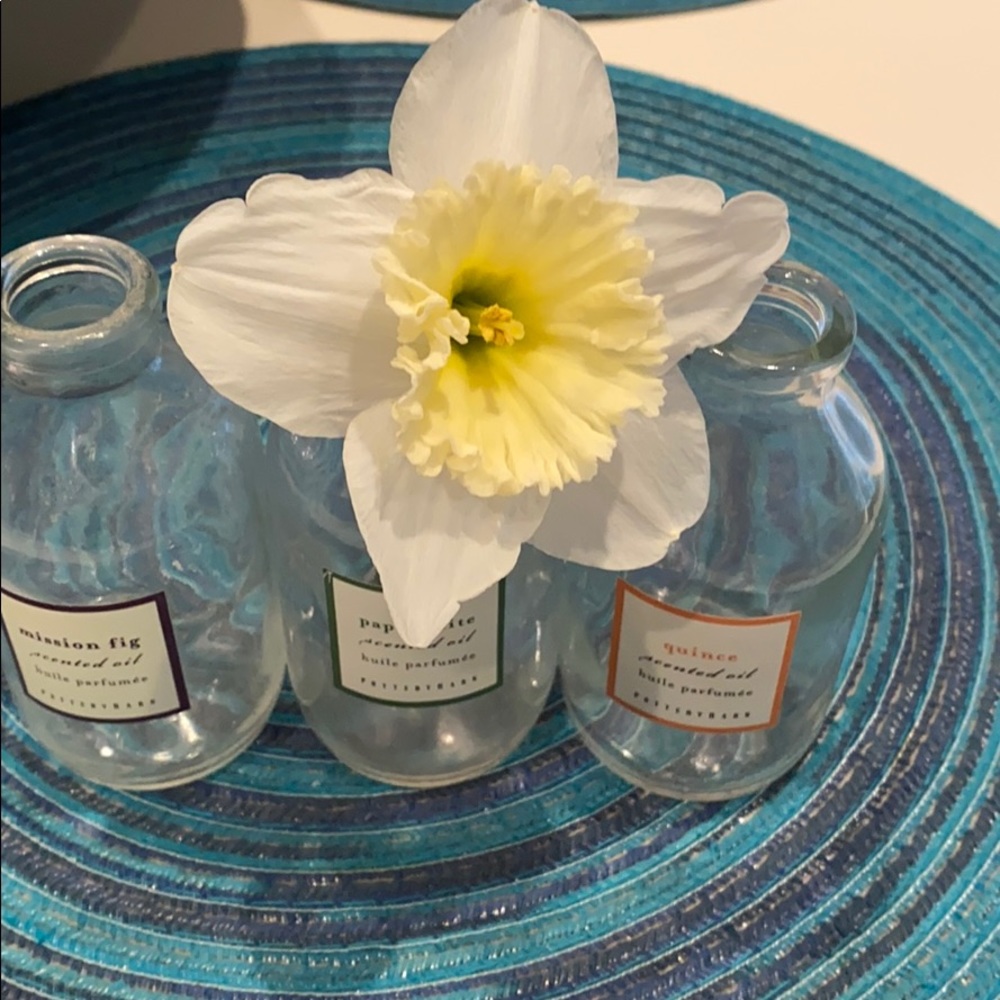 3 POTTERY BARN Vases - Picture 3 of 9